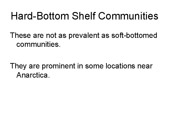 Hard-Bottom Shelf Communities These are not as prevalent as soft-bottomed communities. They are prominent
