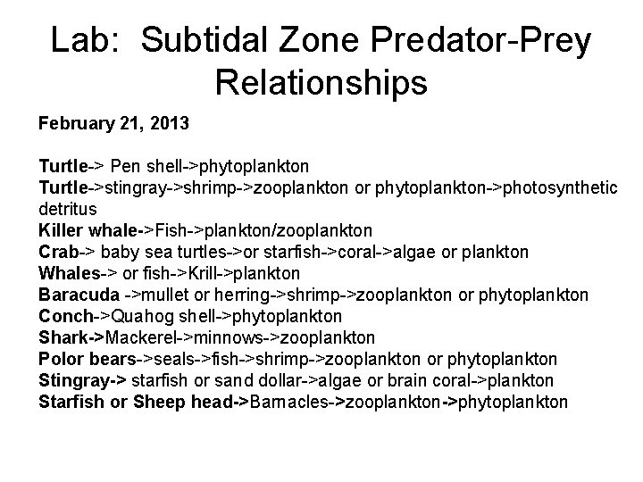 Lab: Subtidal Zone Predator-Prey Relationships February 21, 2013 Turtle-> Pen shell->phytoplankton Turtle->stingray->shrimp->zooplankton or phytoplankton->photosynthetic