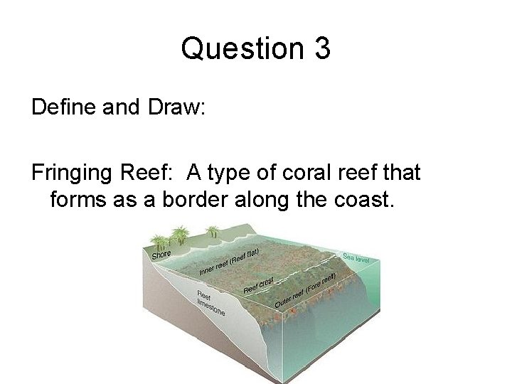 Question 3 Define and Draw: Fringing Reef: A type of coral reef that forms