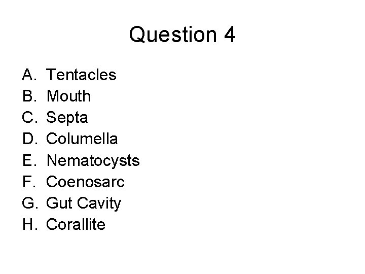 Question 4 A. B. C. D. E. F. G. H. Tentacles Mouth Septa Columella