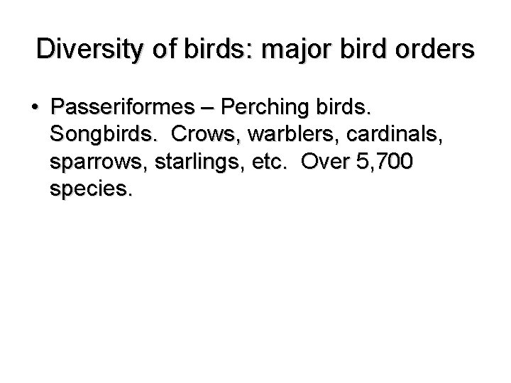 Diversity of birds: major bird orders • Passeriformes – Perching birds. Songbirds. Crows, warblers,
