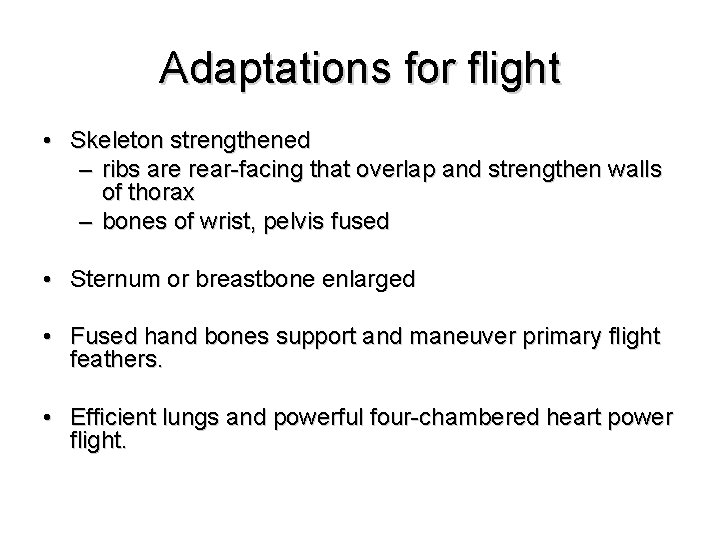 Adaptations for flight • Skeleton strengthened – ribs are rear-facing that overlap and strengthen