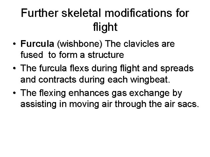 Further skeletal modifications for flight • Furcula (wishbone) The clavicles are fused to form