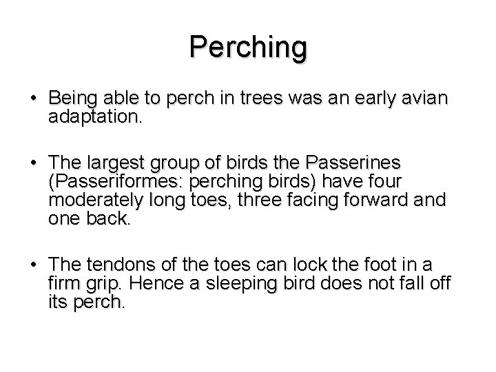 Perching • Being able to perch in trees was an early avian adaptation. •