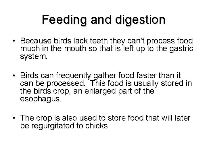 Feeding and digestion • Because birds lack teeth they can’t process food much in