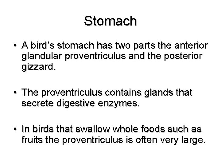 Stomach • A bird’s stomach has two parts the anterior glandular proventriculus and the
