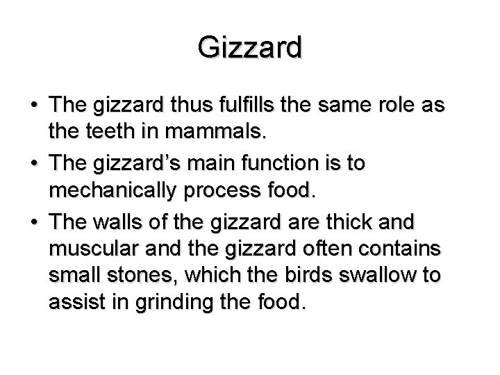 Gizzard • The gizzard thus fulfills the same role as the teeth in mammals.