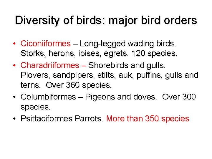 Diversity of birds: major bird orders • Ciconiiformes – Long-legged wading birds. Storks, herons,