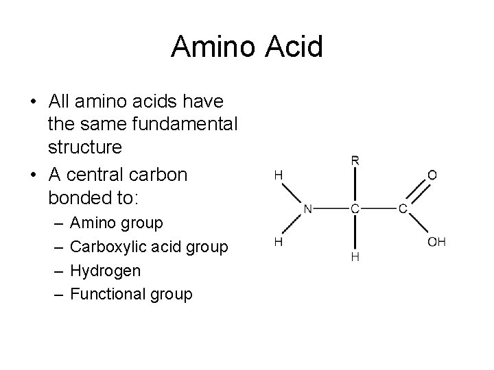 Amino Acid • All amino acids have the same fundamental structure • A central