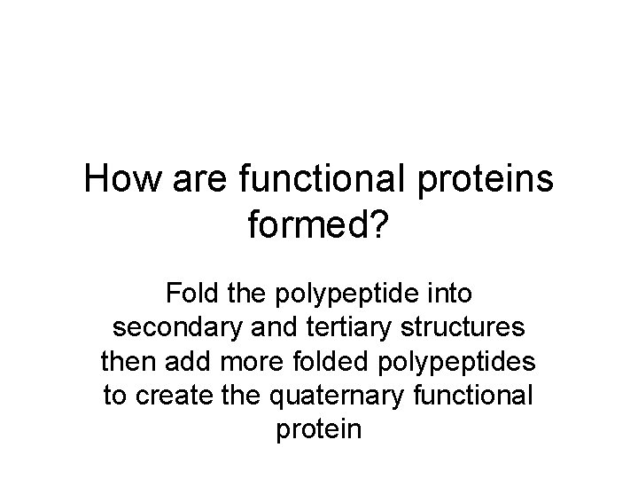 How are functional proteins formed? Fold the polypeptide into secondary and tertiary structures then
