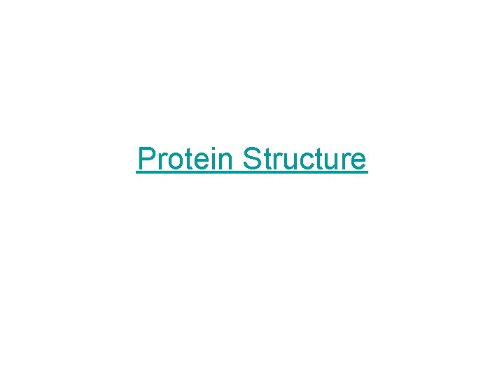 Protein Structure 