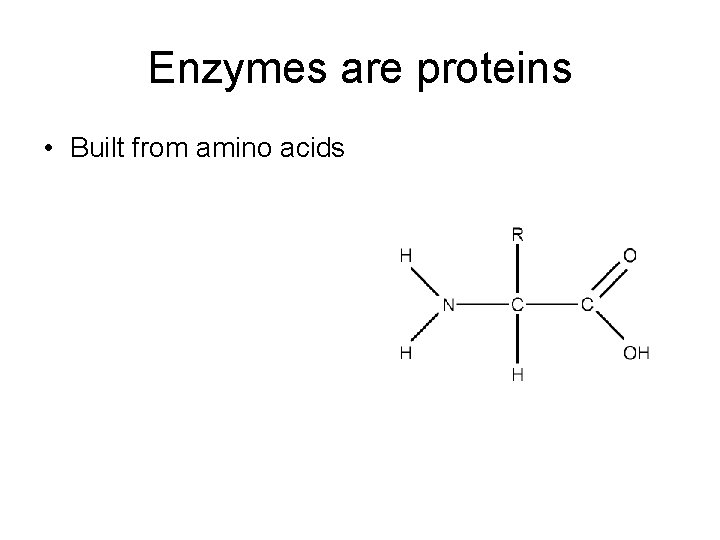 Enzymes are proteins • Built from amino acids 