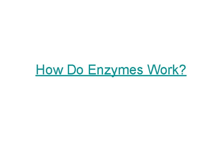 How Do Enzymes Work? 