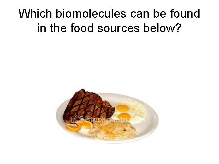 Which biomolecules can be found in the food sources below? 