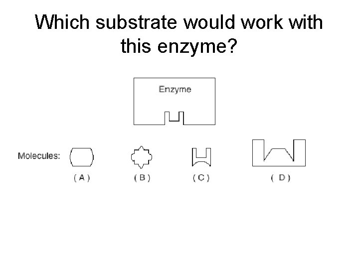 Which substrate would work with this enzyme? 