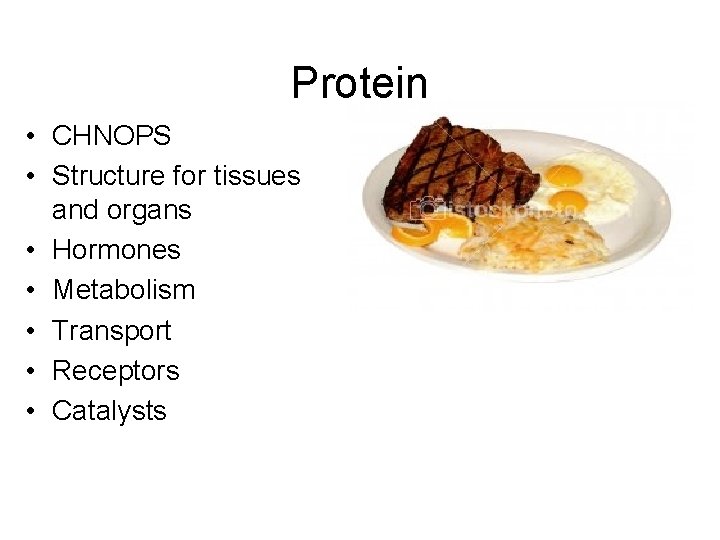 Protein • CHNOPS • Structure for tissues and organs • Hormones • Metabolism •