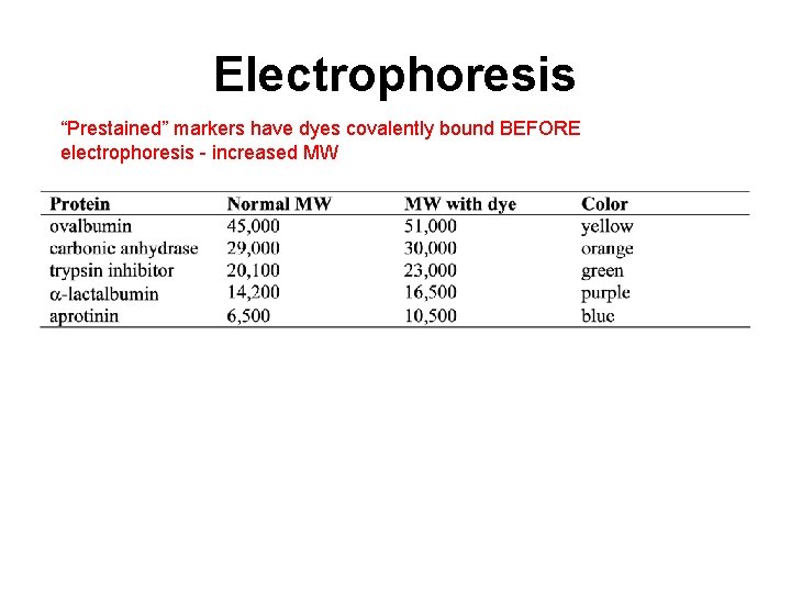 Electrophoresis “Prestained” markers have dyes covalently bound BEFORE electrophoresis - increased MW 