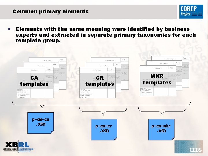 Common primary elements § Elements with the same meaning were identified by business experts