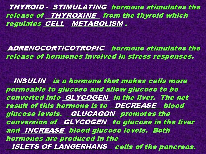 THYROID - STIMULATING hormone stimulates the _______________ release of ________ THYROXINE from the thyroid THYROID - STIMULATING hormone stimulates the _______________ release of ________ THYROXINE from the thyroid