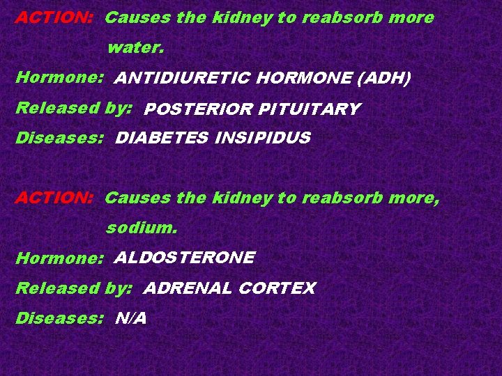 ACTION: Causes the kidney to reabsorb more water. Hormone: ANTIDIURETIC HORMONE (ADH) Released by: