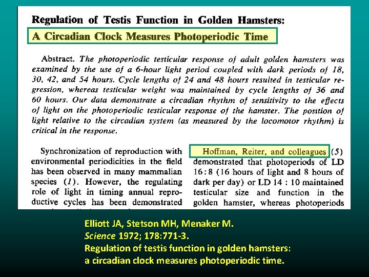 Elliott JA, Stetson MH, Menaker M. Science 1972; 178: 771 -3. Regulation of testis