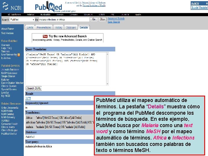 Details page Pub. Med utiliza el mapeo automático de términos. La pestaña “Details” muestra