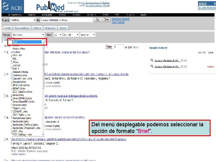 Brief format Del menú desplegable podemos seleccionar la opción de formato “Brief”. 