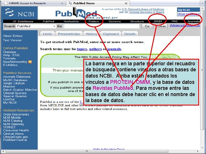 Other NCBI databases La barra negra en la parte superior del recuadro de búsqueda