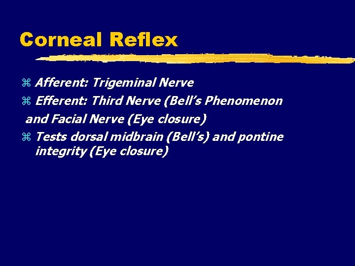 Corneal Reflex Afferent: Trigeminal Nerve Efferent: Third Nerve (Bell’s Phenomenon and Facial Nerve (Eye
