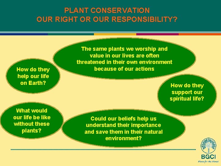 PLANT CONSERVATION OUR RIGHT OR OUR RESPONSIBILITY? How do they help our life on