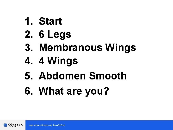 1. 2. 3. 4. 5. 6. Start 6 Legs Membranous Wings 4 Wings Abdomen