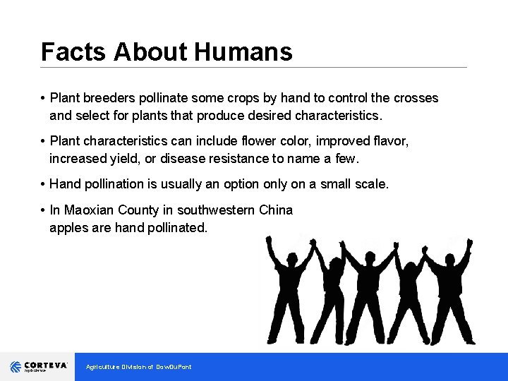 Facts About Humans __________________________________ • Plant breeders pollinate some crops by hand to control