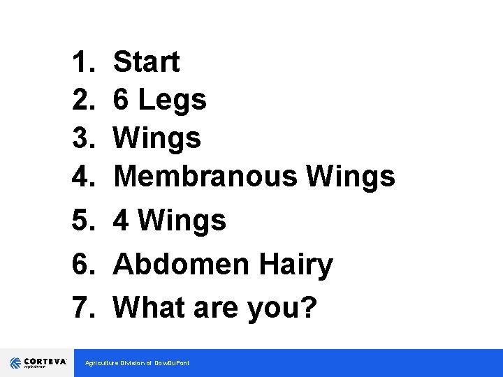 1. 2. 3. 4. 5. 6. 7. Start 6 Legs Wings Membranous Wings 4