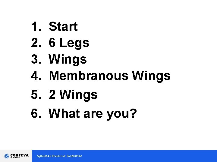 1. 2. 3. 4. 5. 6. Start 6 Legs Wings Membranous Wings 2 Wings