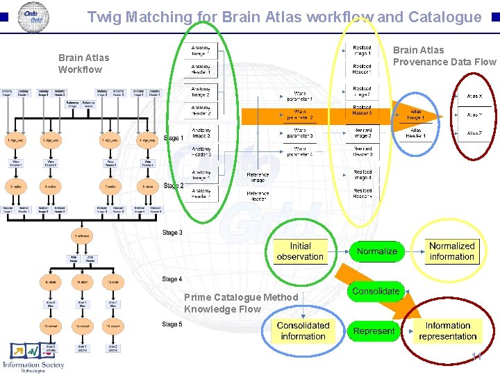 Twig Matching for Brain Atlas workflow and Catalogue Brain Atlas Provenance Data Flow Brain