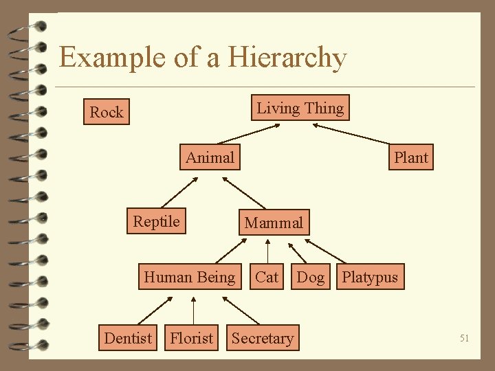 Example of a Hierarchy Living Thing Rock Animal Reptile Mammal Human Being Dentist Florist