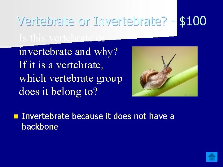 Vertebrate or Invertebrate? - $100 Is this vertebrate or invertebrate and why? If it