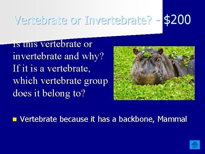 Vertebrate or Invertebrate? - $200 Is this vertebrate or invertebrate and why? If it