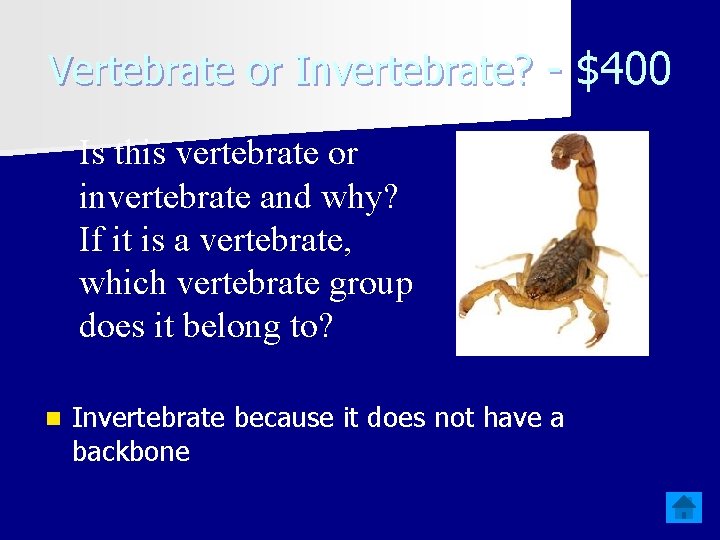 Vertebrate or Invertebrate? - $400 Is this vertebrate or invertebrate and why? If it