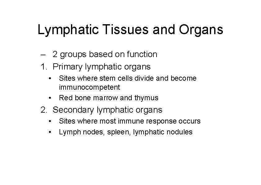 Lymphatic Tissues and Organs – 2 groups based on function 1. Primary lymphatic organs