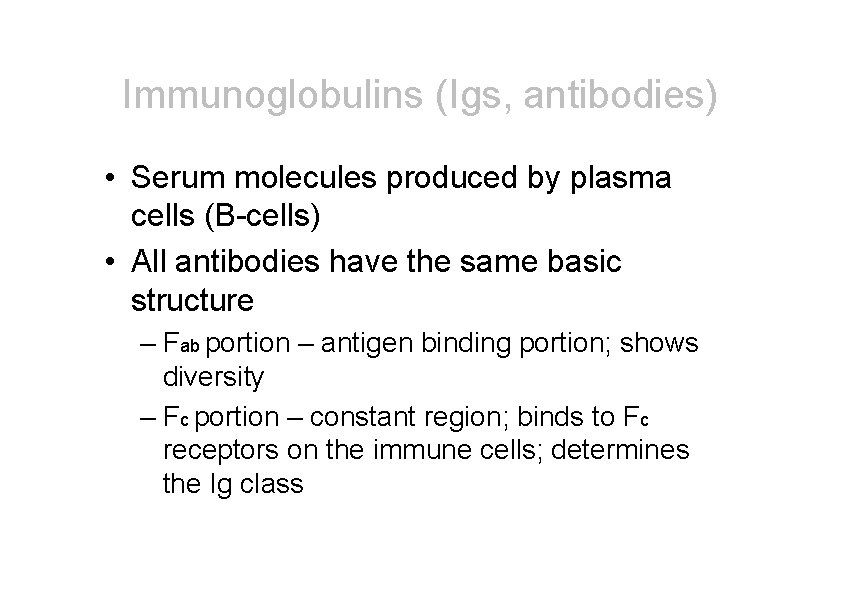 Immunoglobulins (Igs, antibodies) • Serum molecules produced by plasma cells (B-cells) • All antibodies