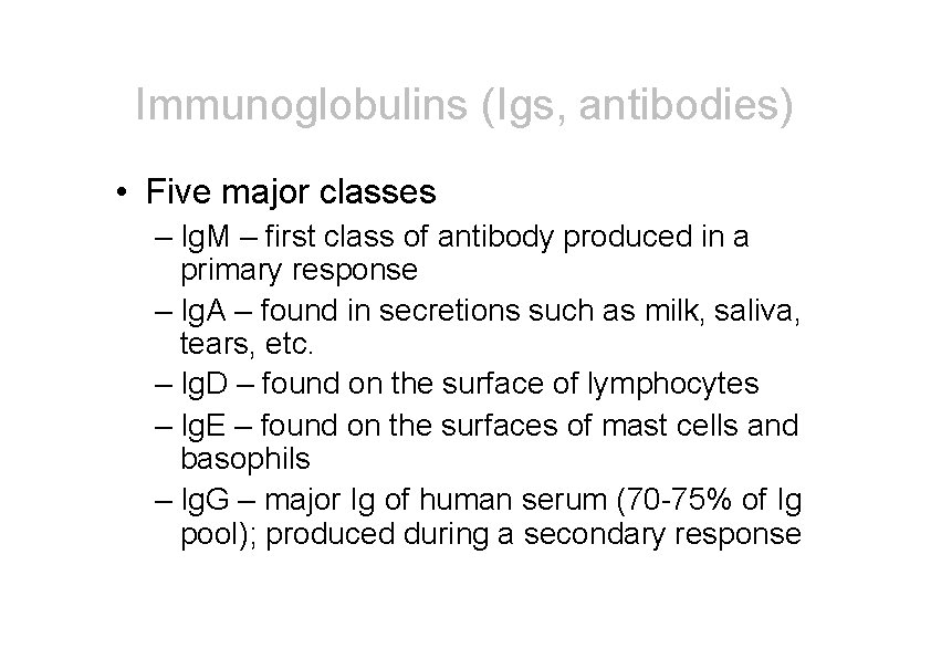 Immunoglobulins (Igs, antibodies) • Five major classes – Ig. M – first class of