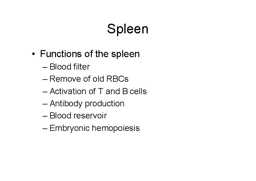 Spleen • Functions of the spleen – Blood filter – Remove of old RBCs