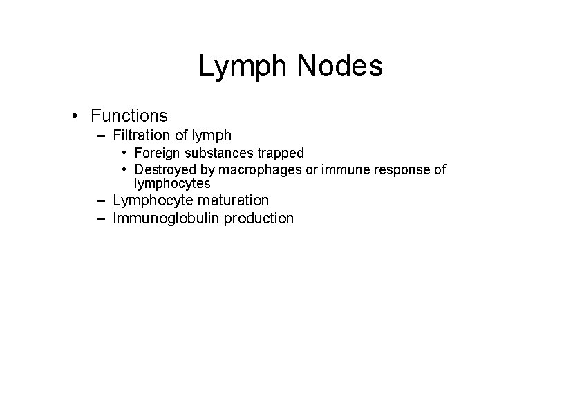 Lymph Nodes • Functions – Filtration of lymph • Foreign substances trapped • Destroyed