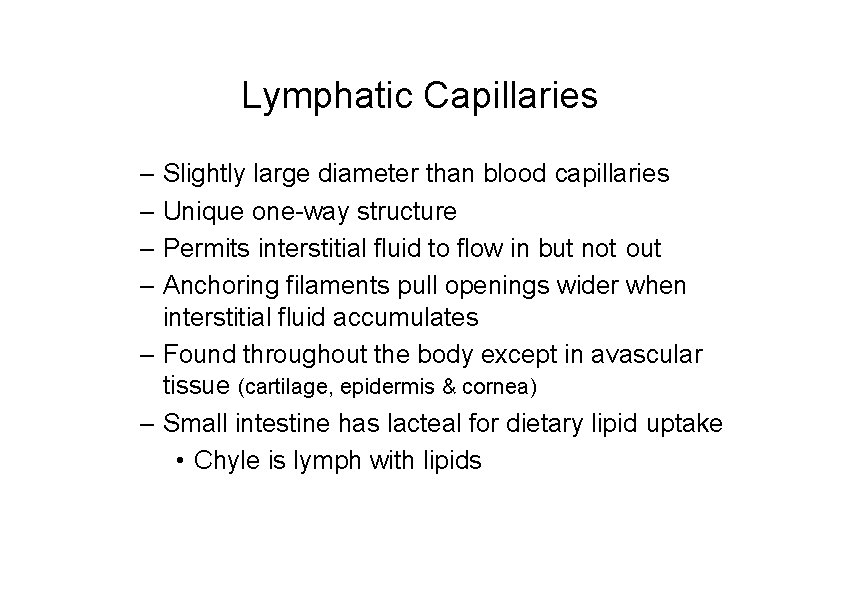 Lymphatic Capillaries – Slightly large diameter than blood capillaries – Unique one-way structure –