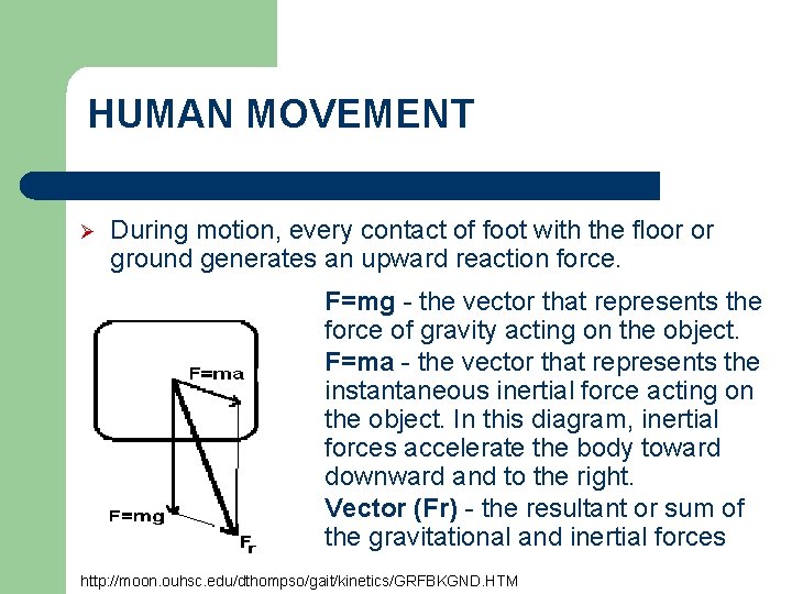 HUMAN MOVEMENT Ø During motion, every contact of foot with the floor or ground