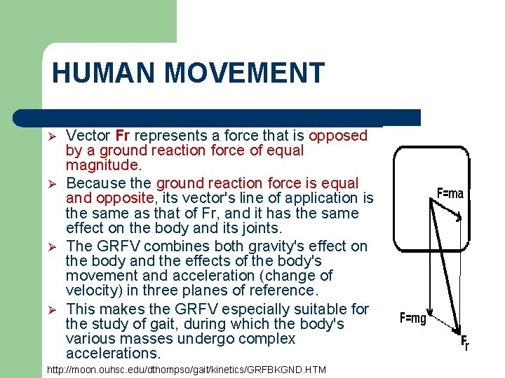 HUMAN MOVEMENT Ø Ø Vector Fr represents a force that is opposed by a