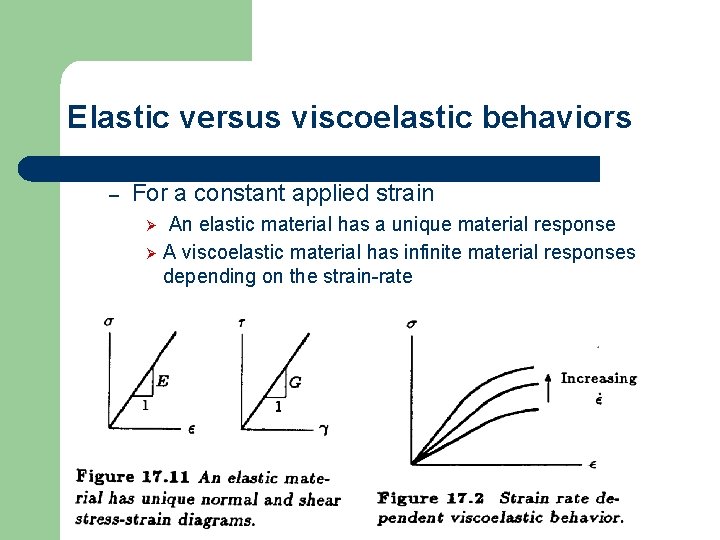 Elastic versus viscoelastic behaviors – For a constant applied strain An elastic material has