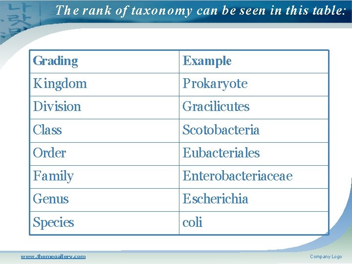 The rank of taxonomy can be seen in this table: Grading Example Kingdom Prokaryote