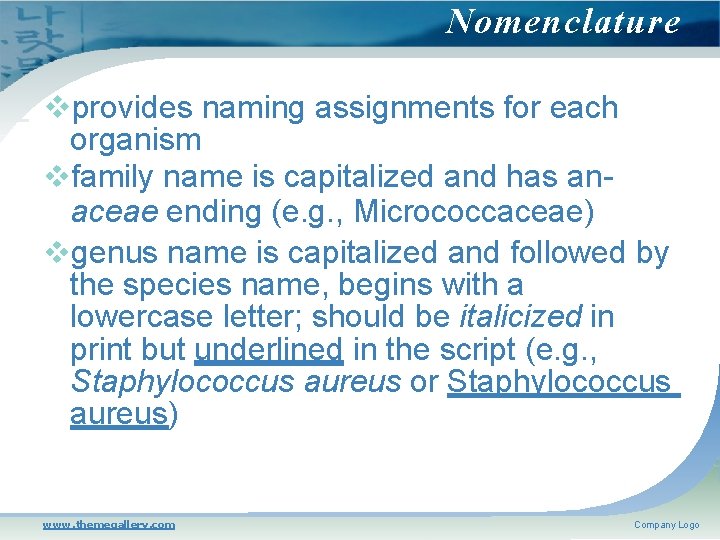 Nomenclature provides naming assignments for each organism family name is capitalized and has anaceae